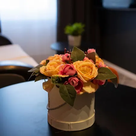 Aparthotel Unlimited Apartment- Centrum, Faktura Košalín